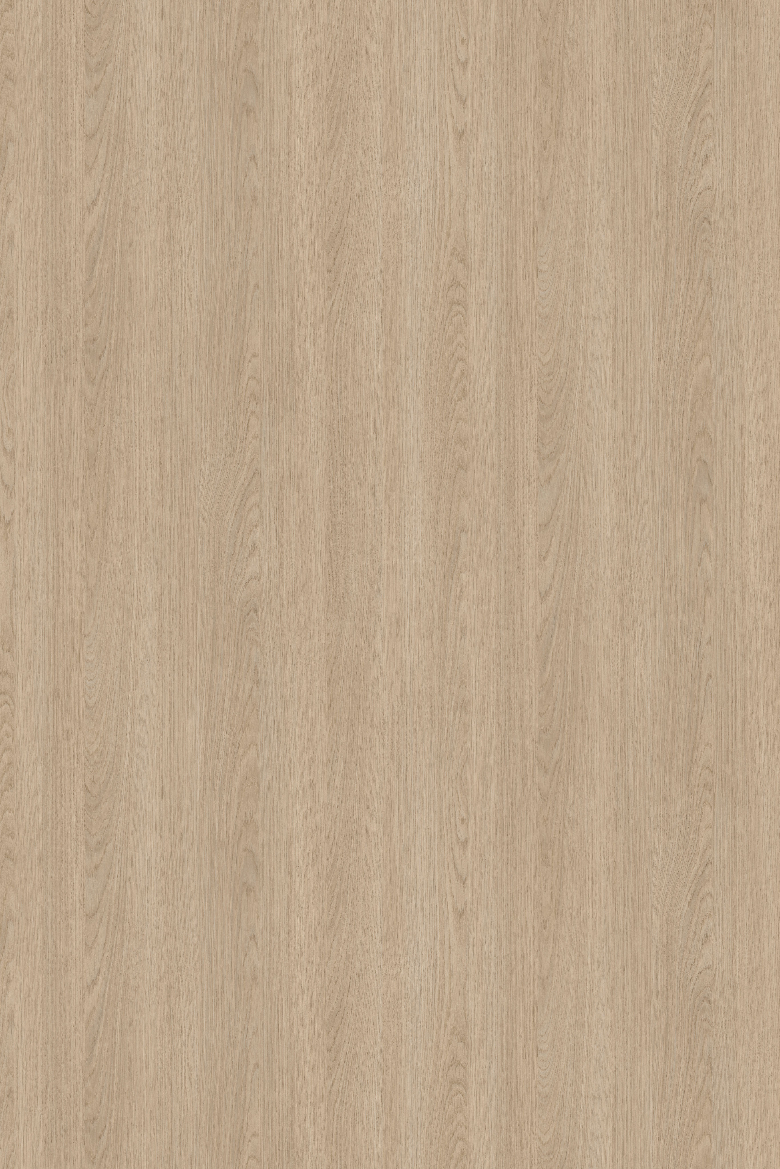 Sahara Oak