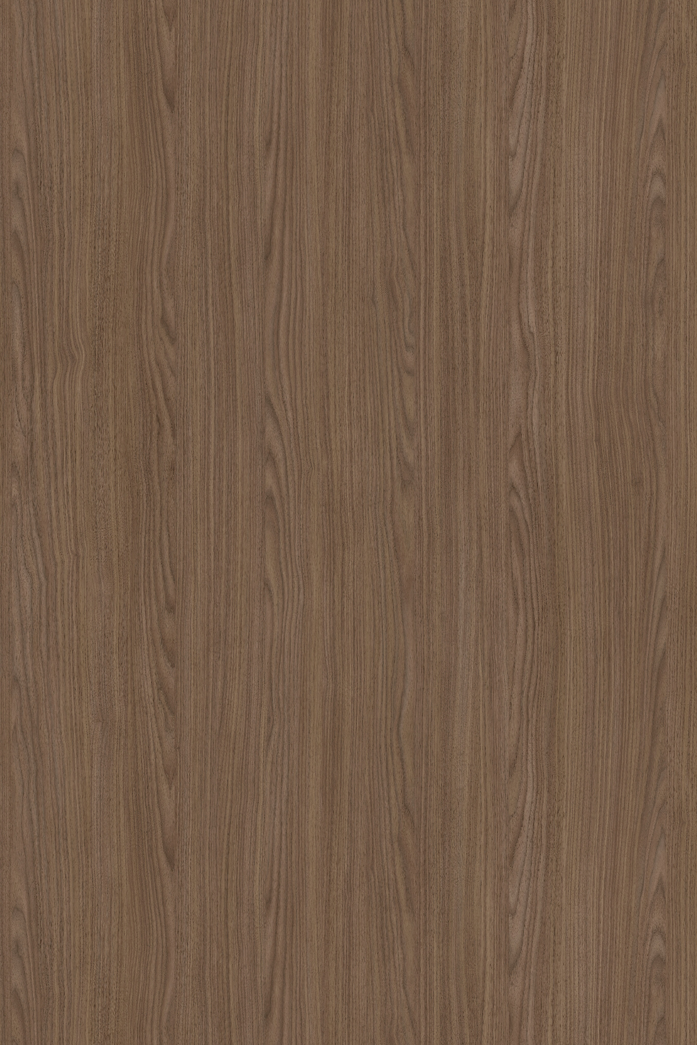 Bergamo Walnut