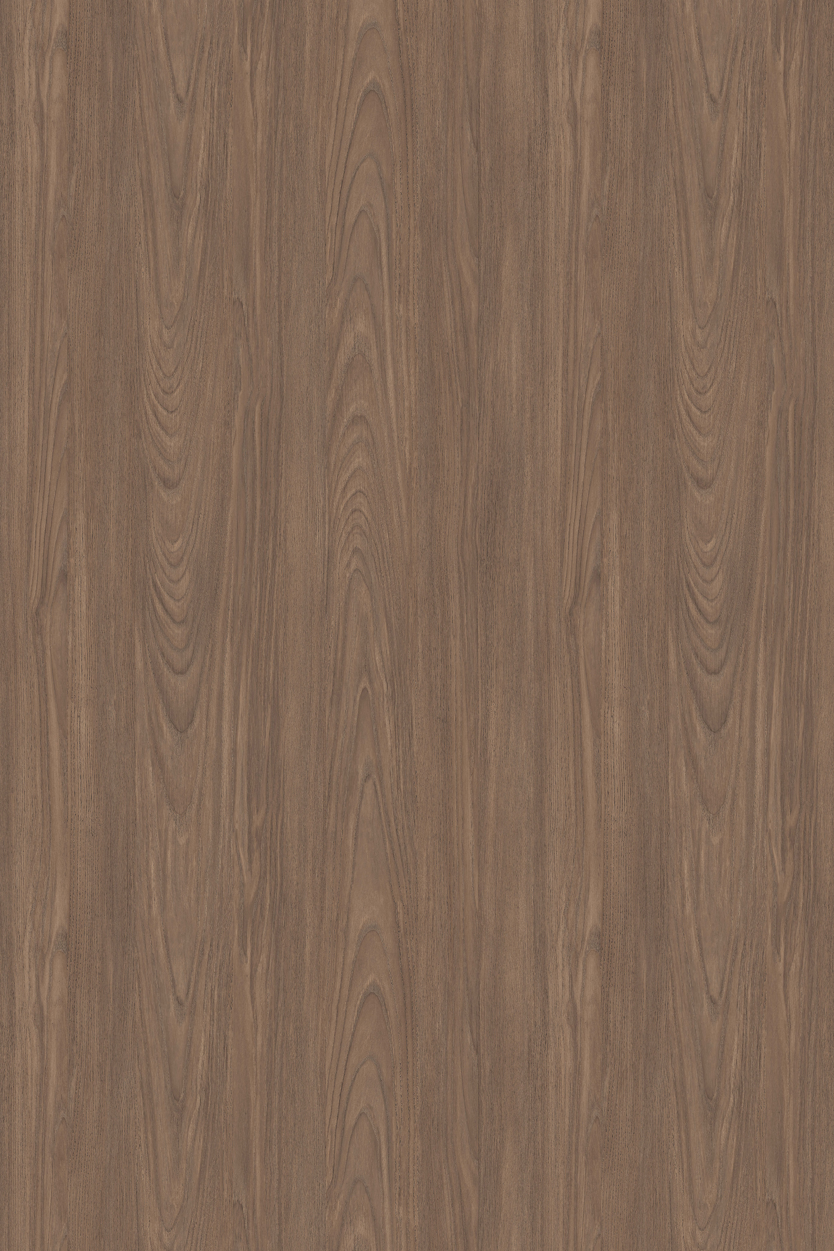 Amber Walnut